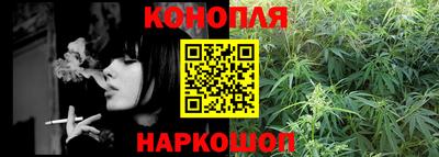 крисы Ставрополь