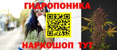 крисы Ставрополь