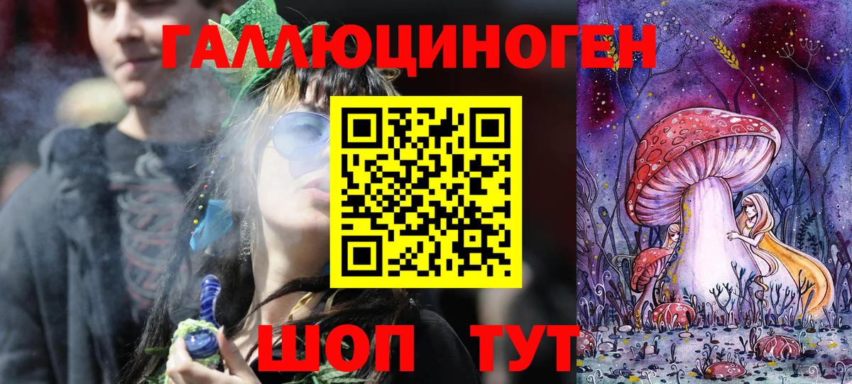 Псилоцибиновые грибы мицелий  Псилоцибиновые грибы GOLDEN TEACHER  Вход с VPN  Нерюнгри 