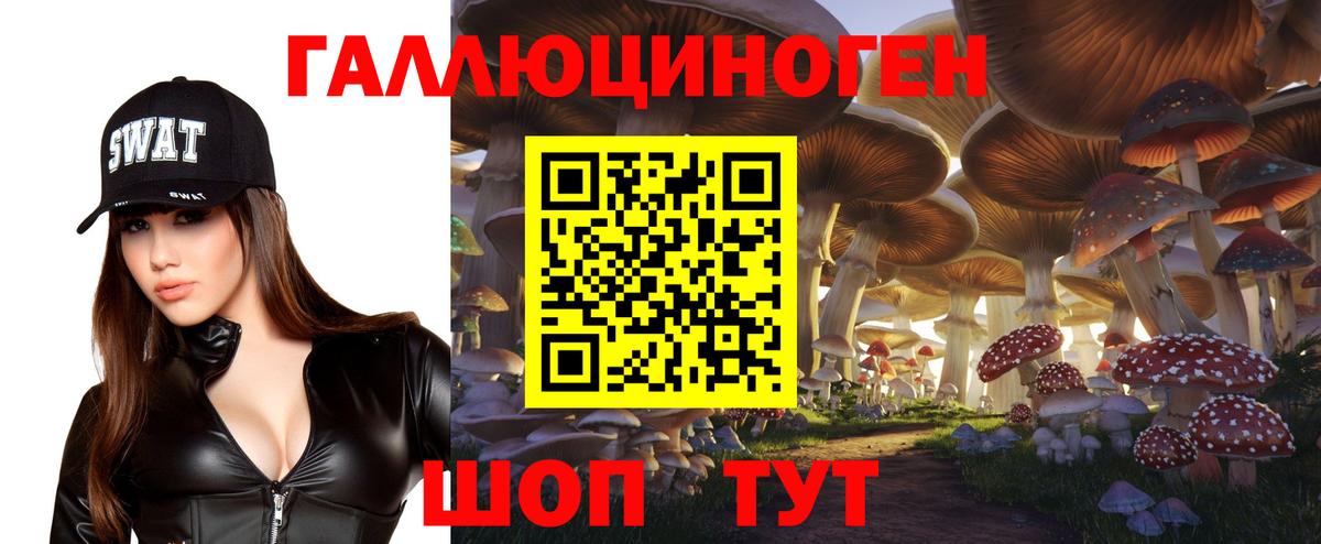 Псилоцибиновые грибы GOLDEN TEACHER Нерюнгри